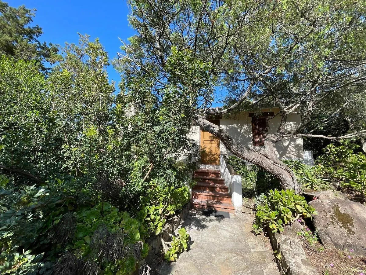 Casa Ottavia Apartment Porto Rotondo 0*,